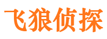 泰来寻人公司